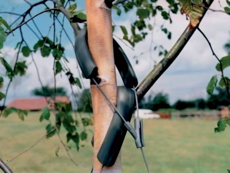 ripristino ambientale ancoraggi veris italia codogno