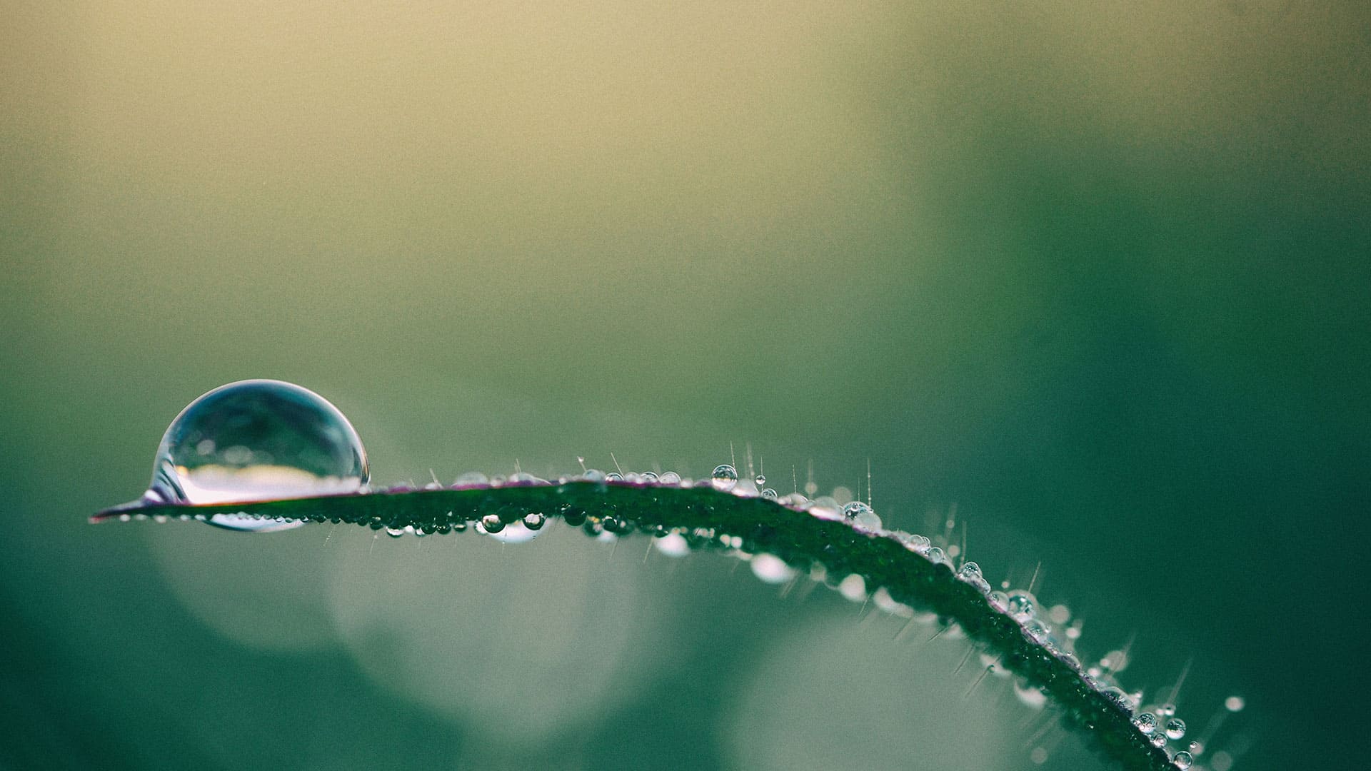 ripristino ambientale veris italia codogno